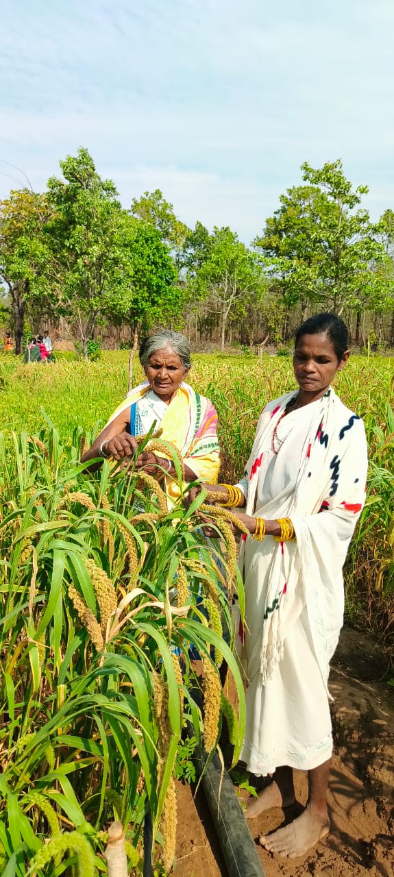 Mrs Deo kumari Bhunjia’s Transfomative journey from paddy to foxtail millet